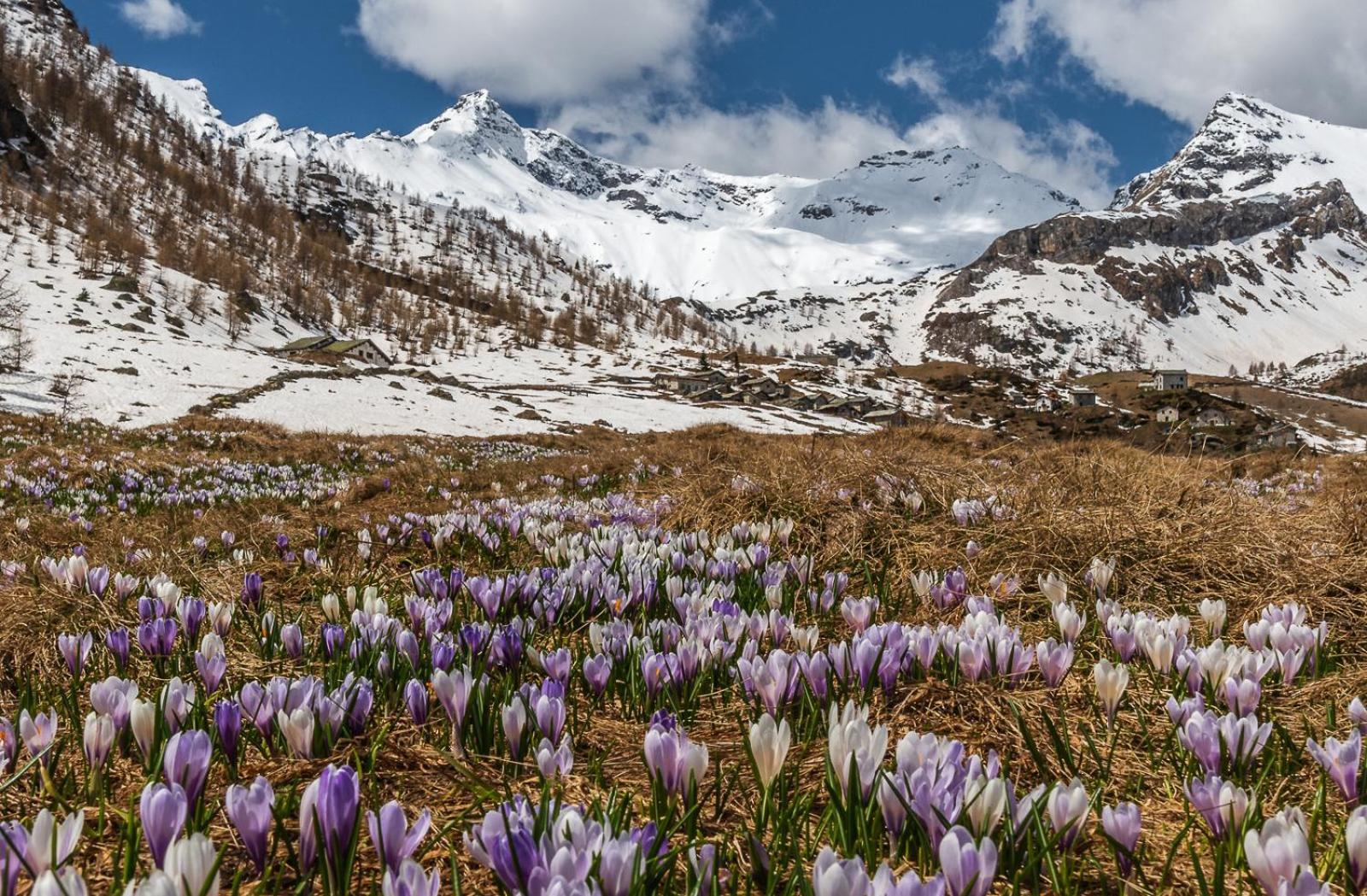 San Giuan, Ad Un Passo Dal Centro Apartman Chiavenna Kültér fotó
